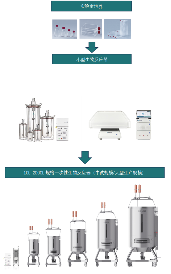 微信图片_20250708173730.png
