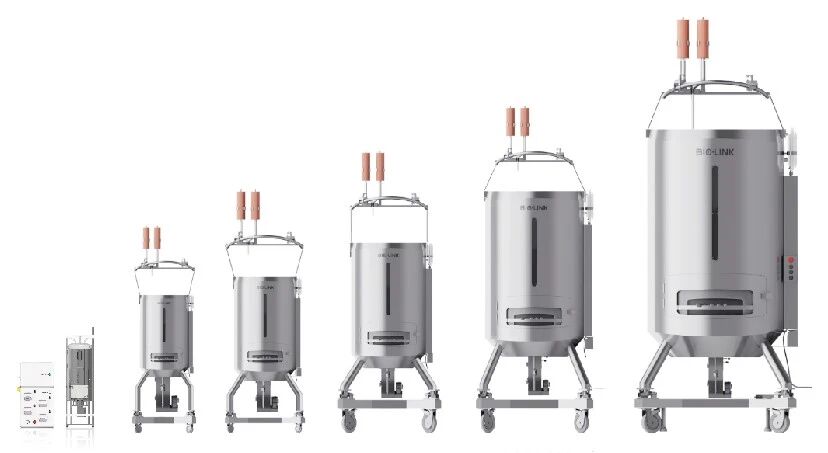 1763706446425094.jpg 2.jpg