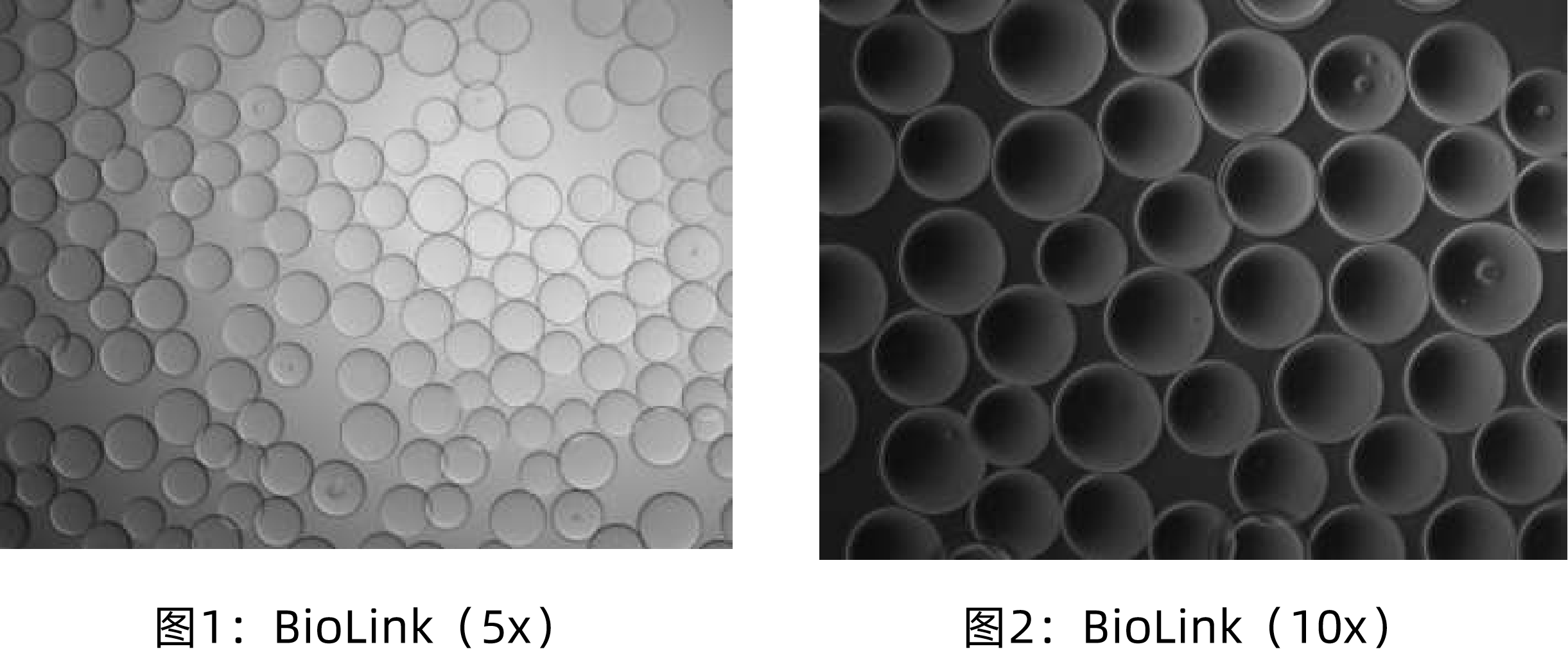 1765523787172681.png 1.png