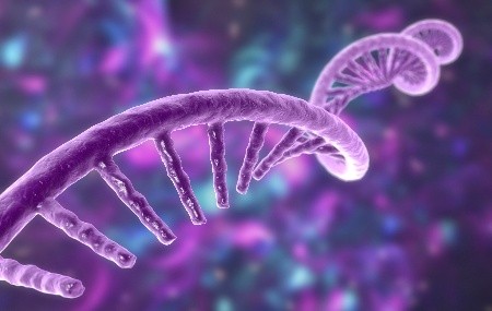 一起来&ldquo;躺平&rdquo;，百林科 2025 应用分享大盘点