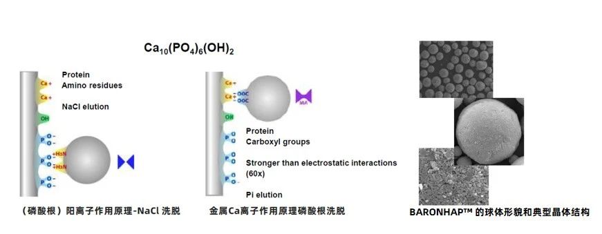 微信图片_20240712150919.jpg