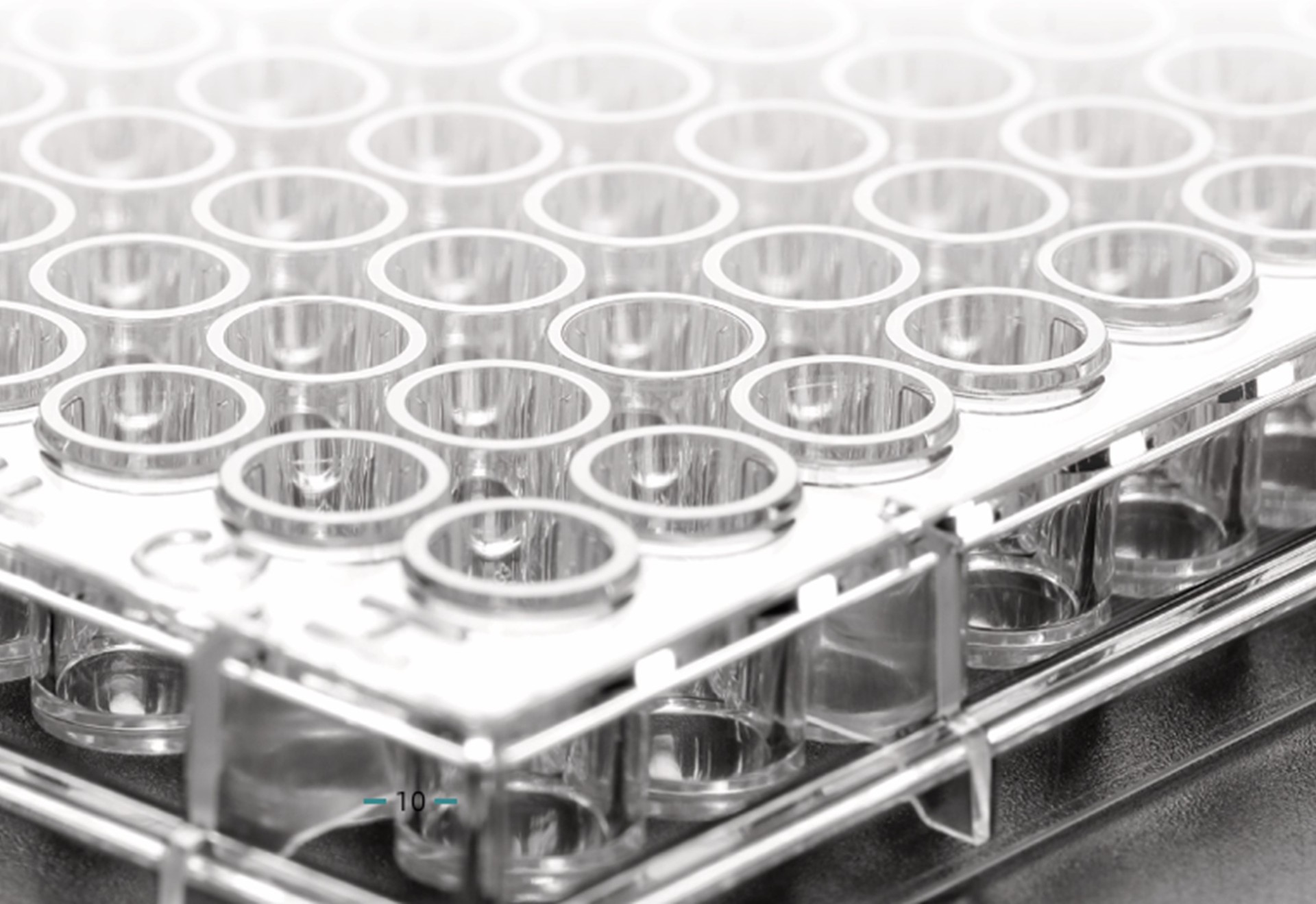 BioHub® 系列多孔细胞培养板