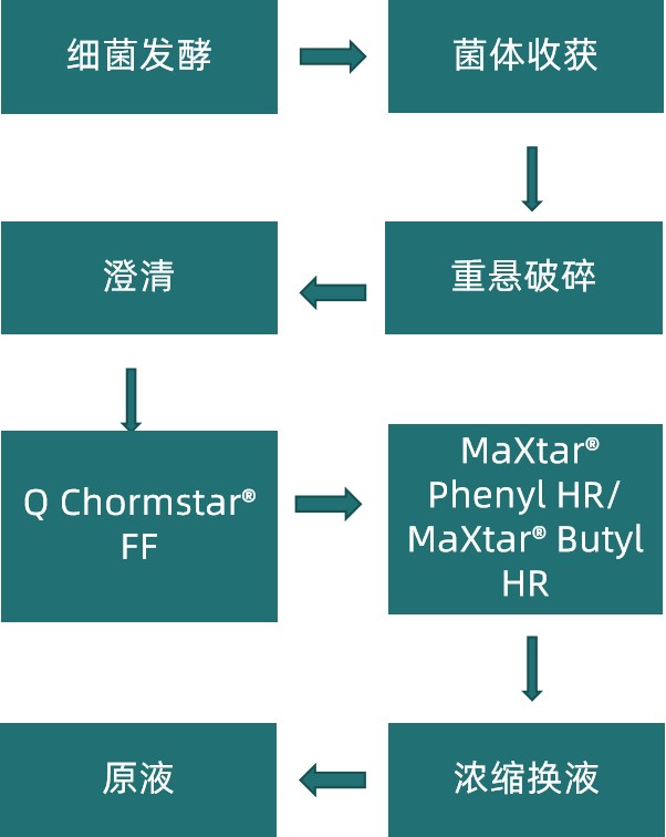 图片2更新.jpg