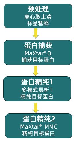 图片10.jpg