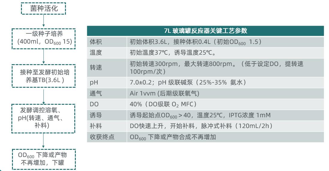 图片16.jpg