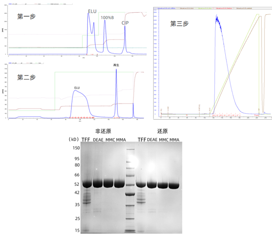 1772265478849067.png 图片2.png