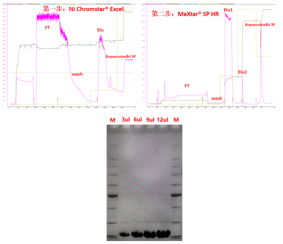 1772265654880411.png 图片4.png