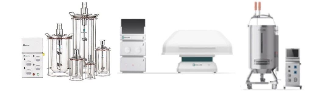 1772267663823487.jpg 000.jpg