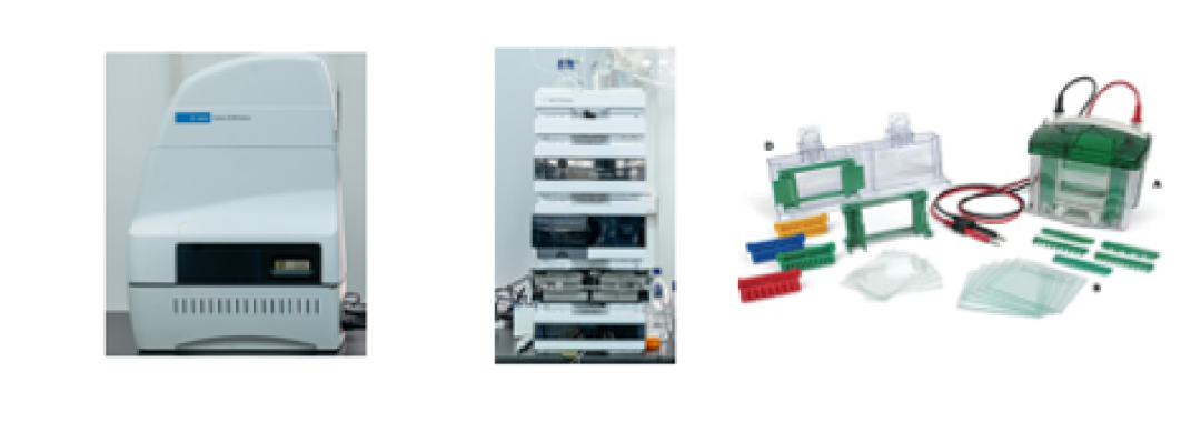 1772267783632655.png 003.png