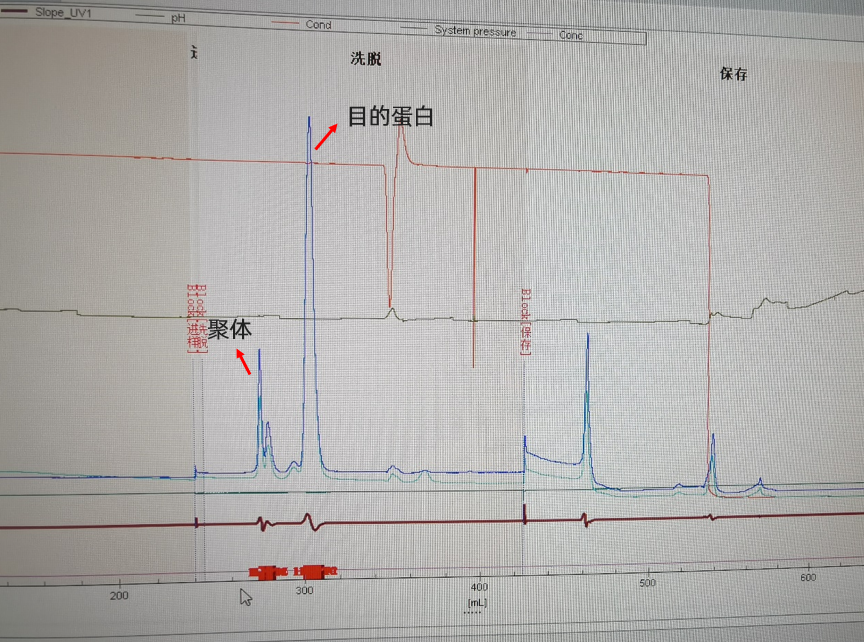 1779703144388279.png 图片4.png