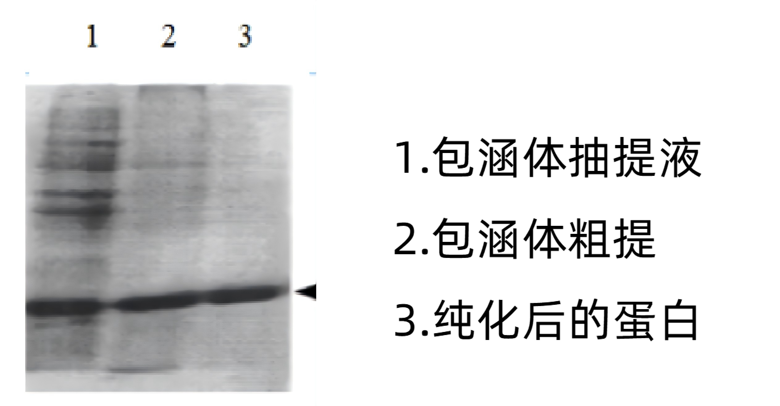 1785484737175990.jpg 图片2.jpg