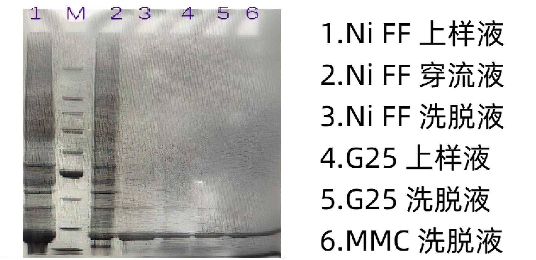 1785485067738447.jpg 图6.jpg