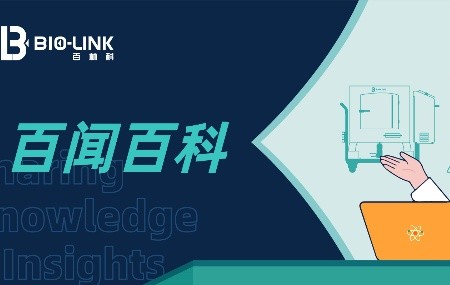基肯孔雅病毒（CHIKV）科普：从感染机制到疫苗生产关键环节