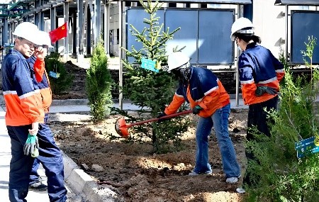 百林科开展春季植树活动
